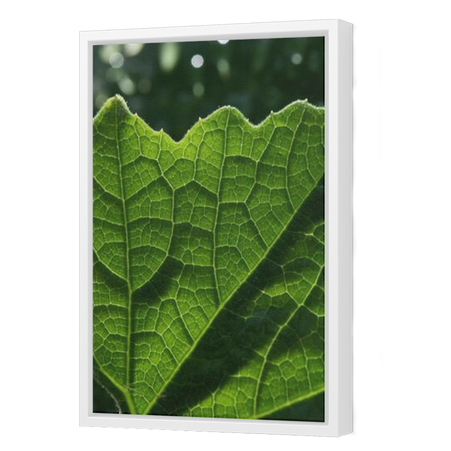 Thumbnail for Canvas - White Floating Frame