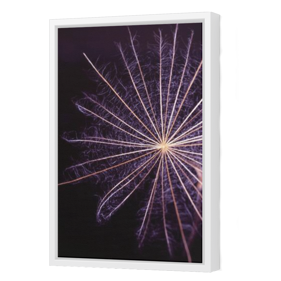 Thumbnail for Canvas - White Floating Frame