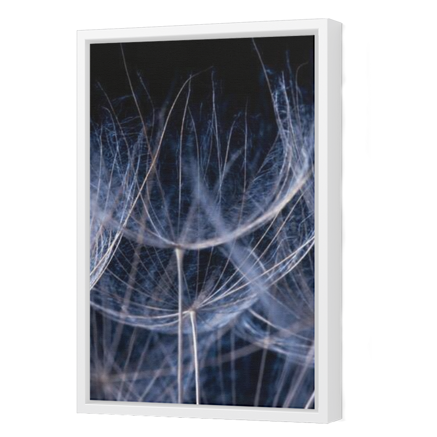 Thumbnail for Canvas - White Floating Frame