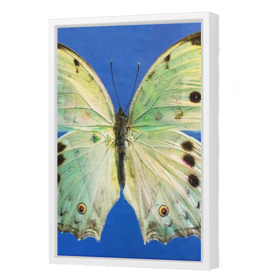 Thumbnail for Canvas - White Floating Frame
