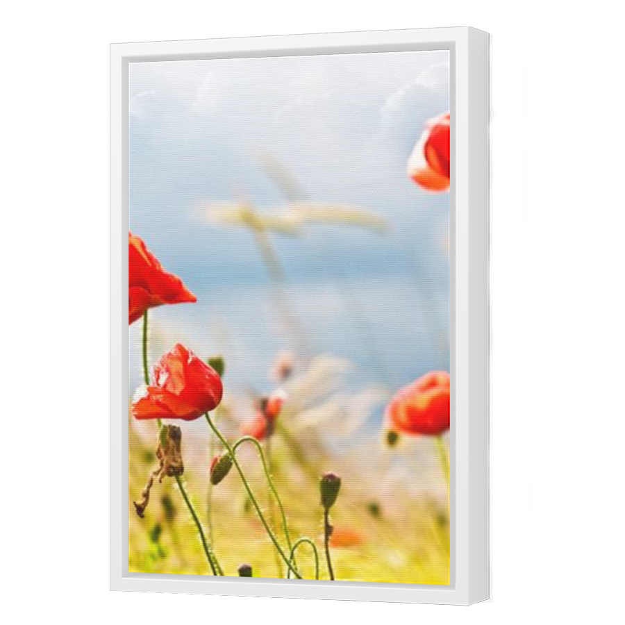 Thumbnail for Canvas - White Floating Frame