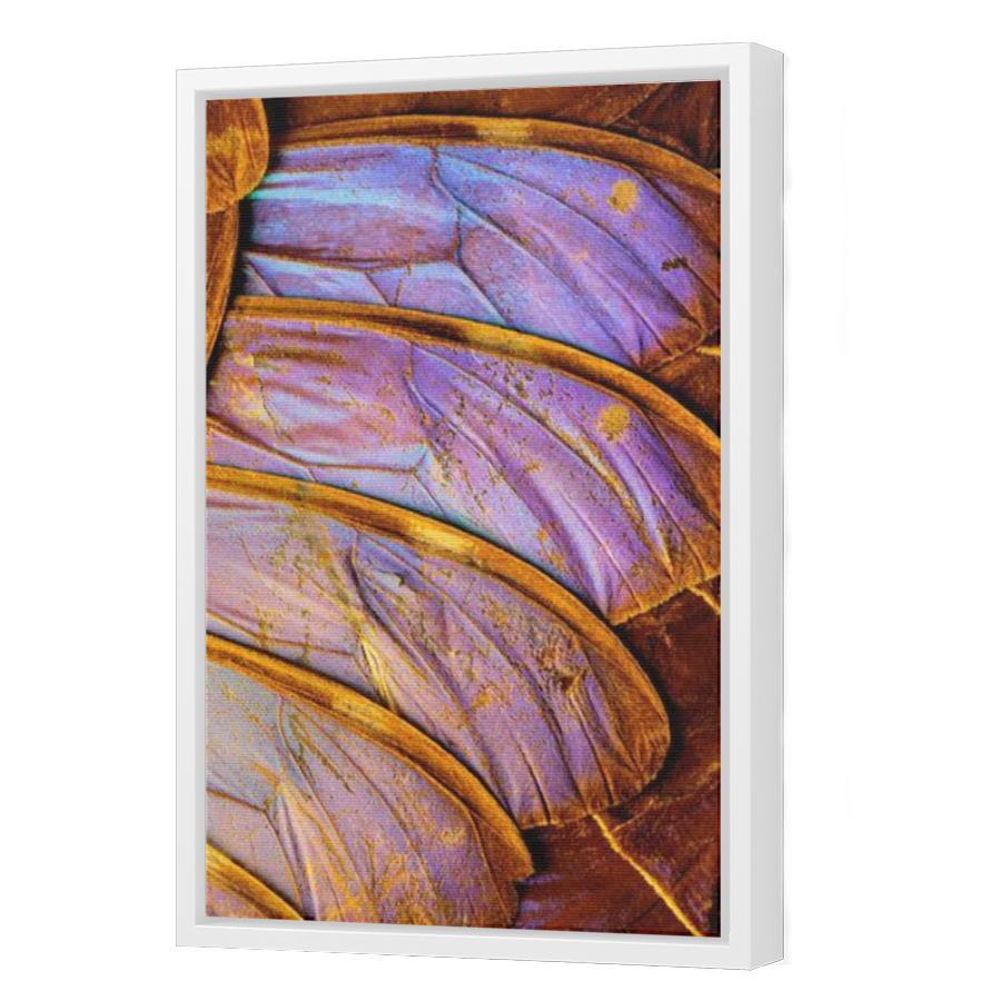 Thumbnail for Canvas - White Floating Frame