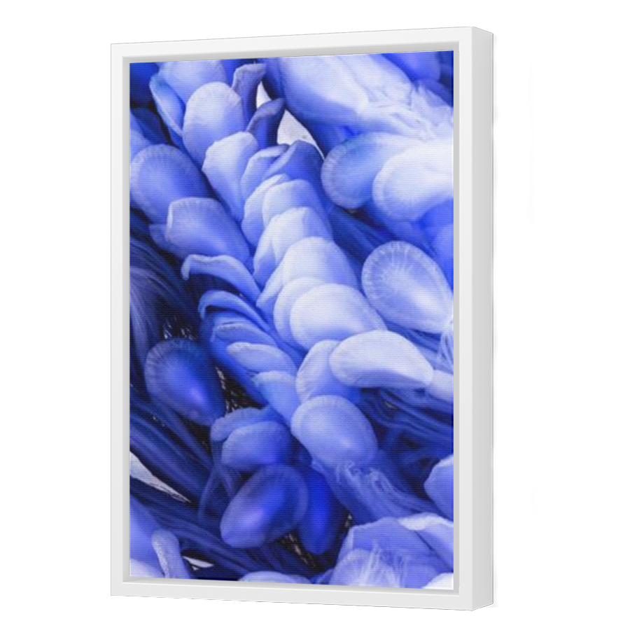 Thumbnail for Canvas - White Floating Frame