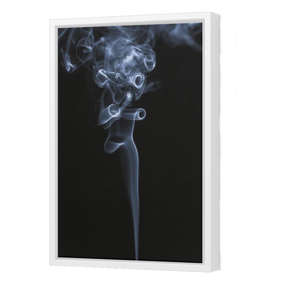 Thumbnail for Canvas - White Floating Frame