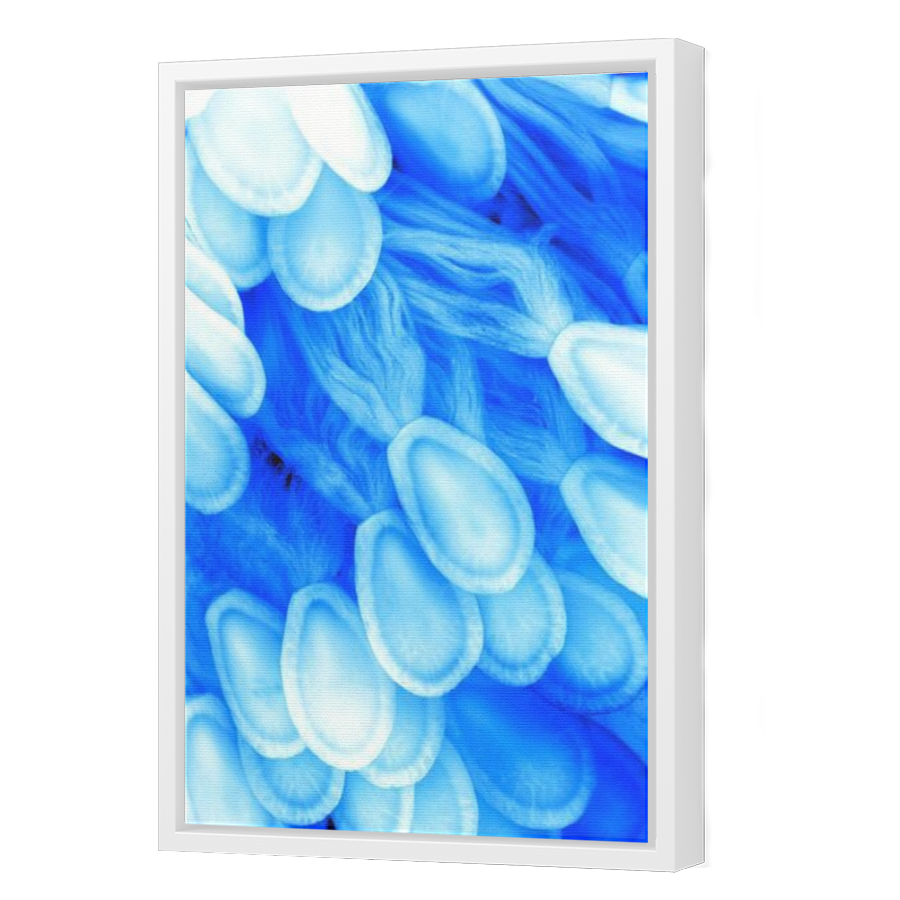 Thumbnail for Canvas - White Floating Frame