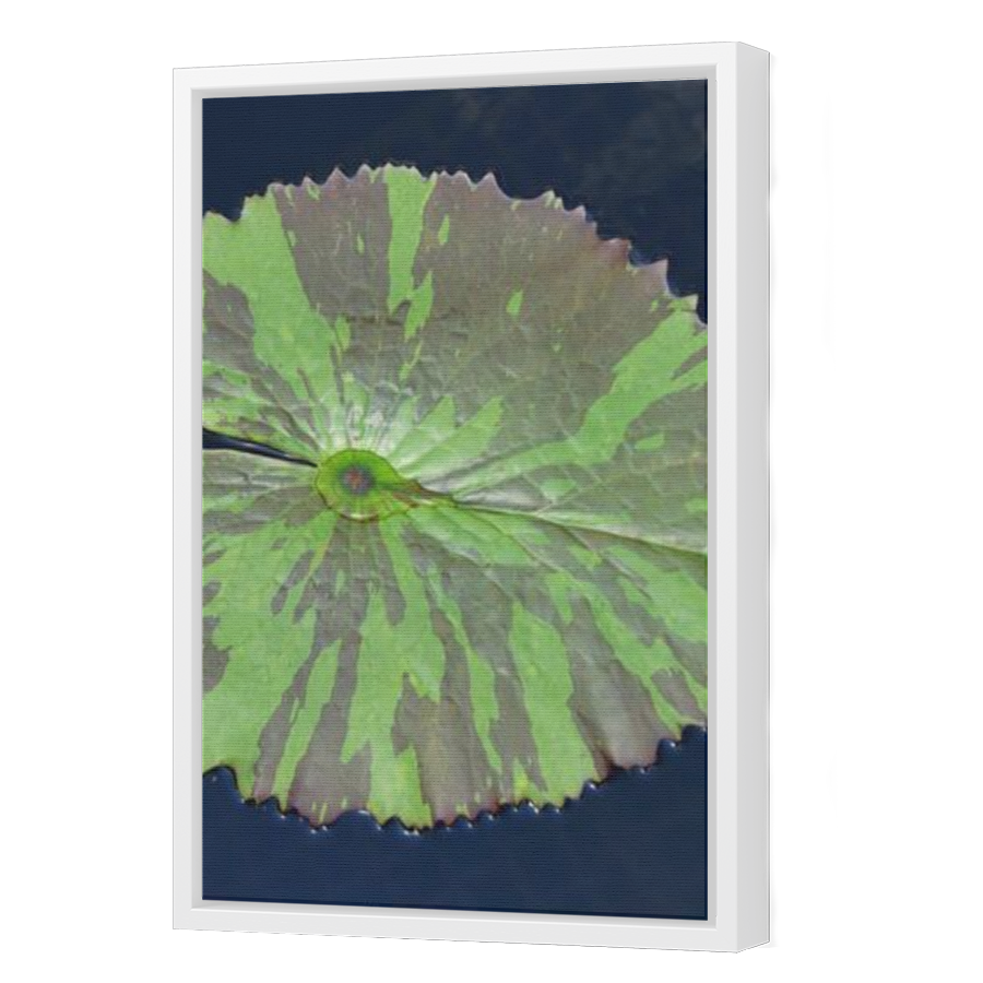 Thumbnail for Canvas - White Floating Frame