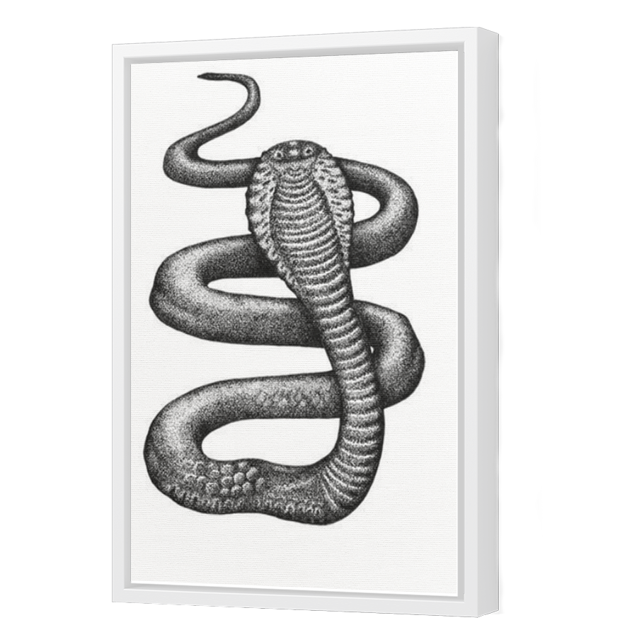 Thumbnail for Canvas - White Floating Frame