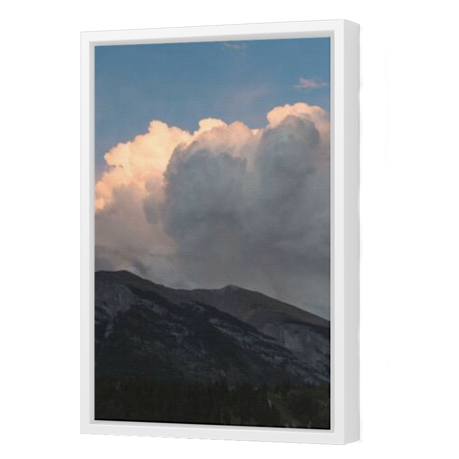 Thumbnail for Canvas - White Floating Frame