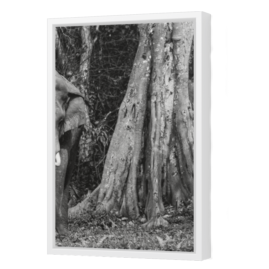 Thumbnail for Canvas - White Floating Frame