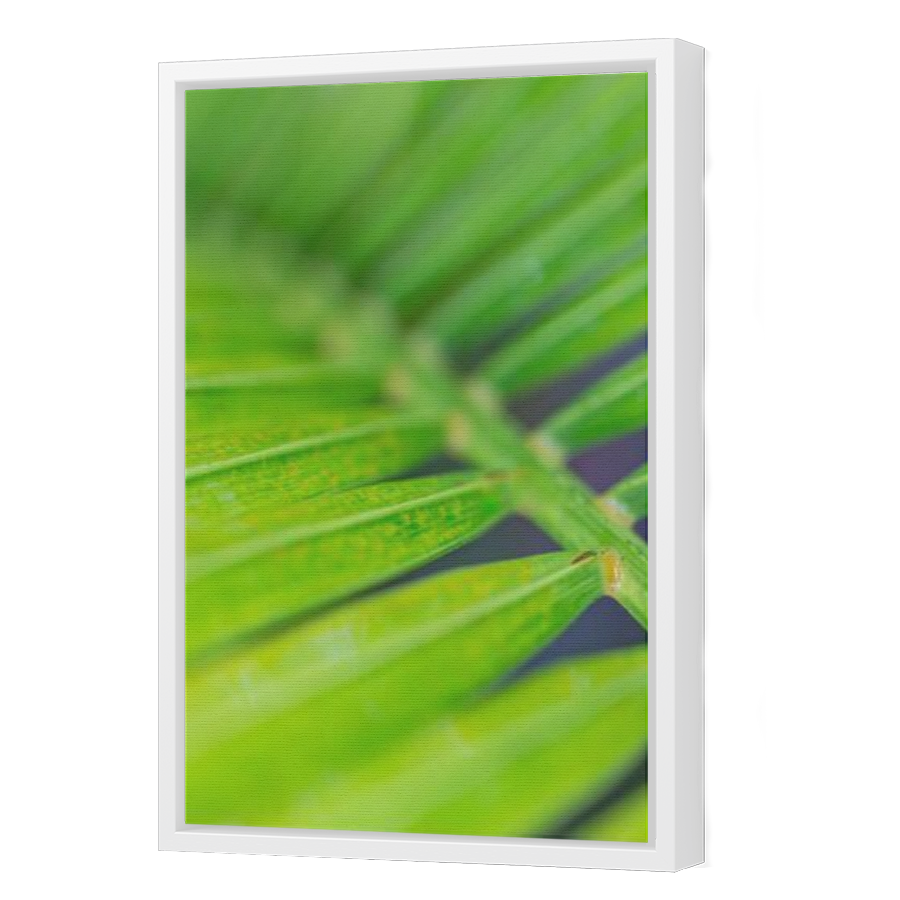 Thumbnail for Canvas - White Floating Frame
