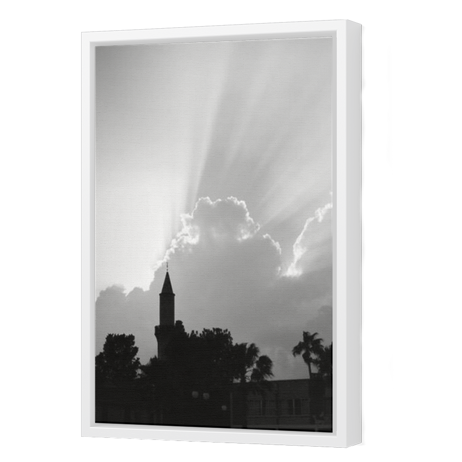 Thumbnail for Canvas - White Floating Frame