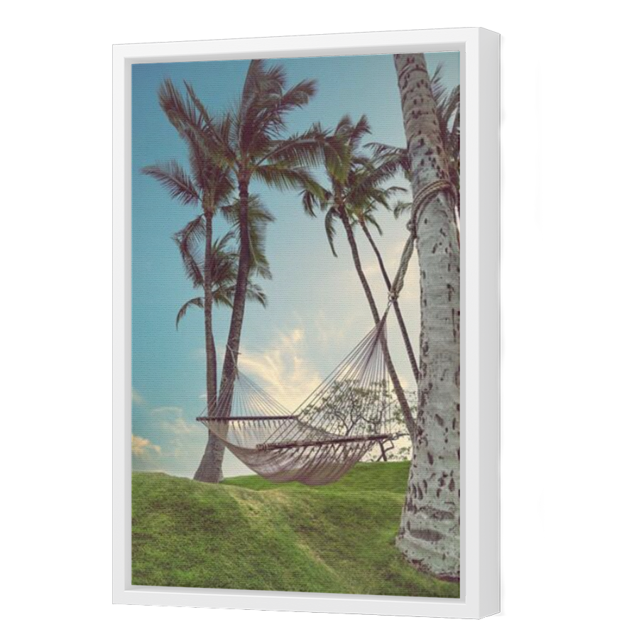Thumbnail for Canvas - White Floating Frame