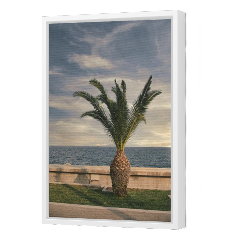 Thumbnail for Canvas - White Floating Frame