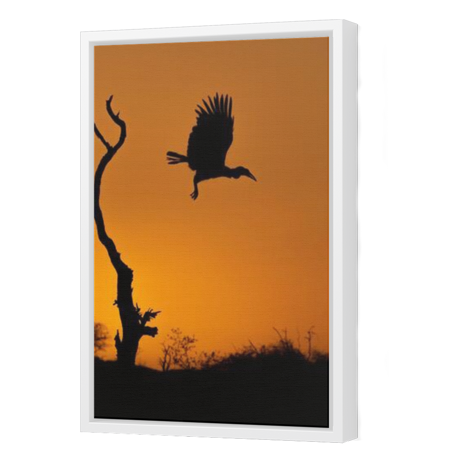 Thumbnail for Canvas - White Floating Frame