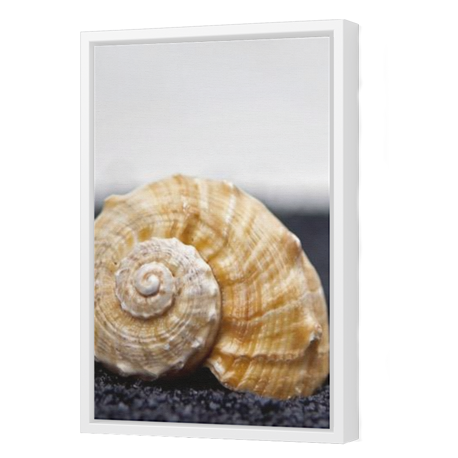Thumbnail for Canvas - White Floating Frame