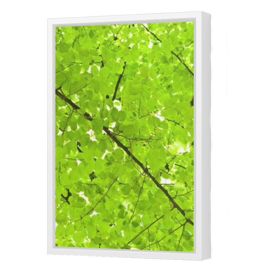 Thumbnail for Canvas - White Floating Frame