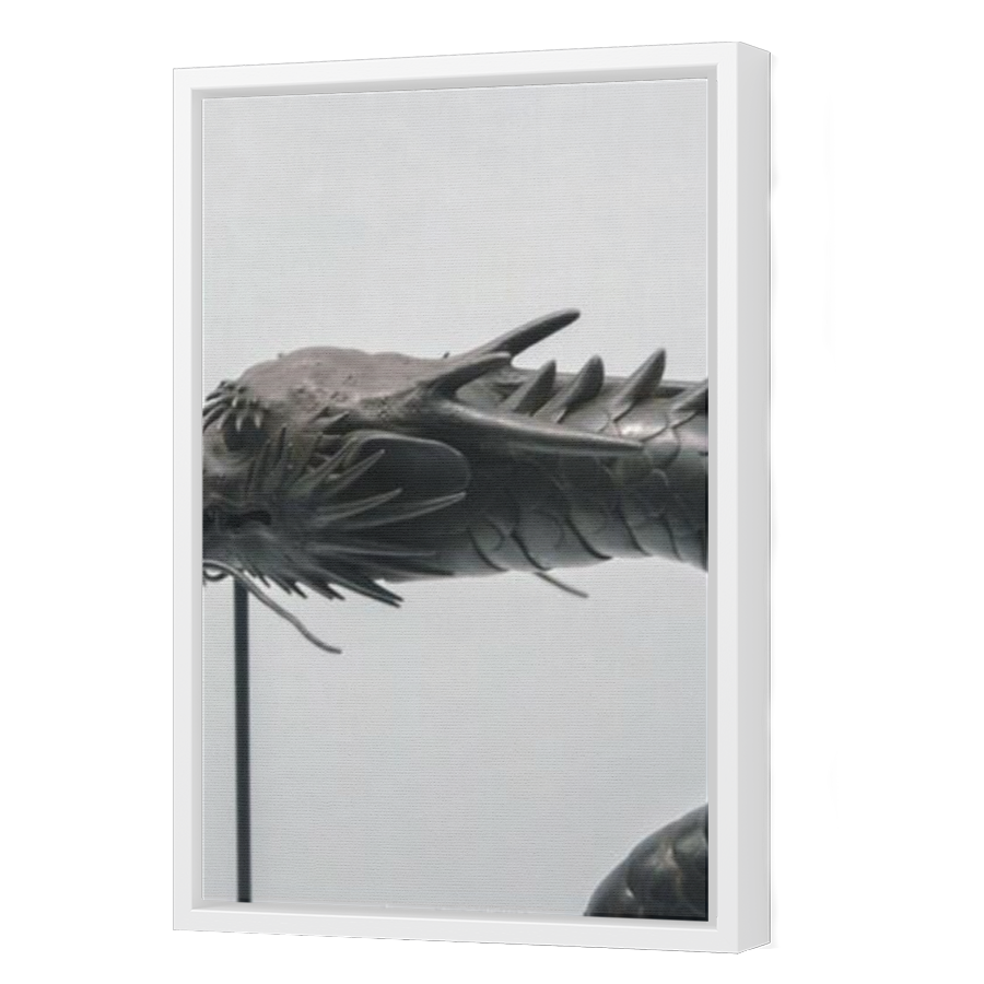Thumbnail for Canvas - White Floating Frame