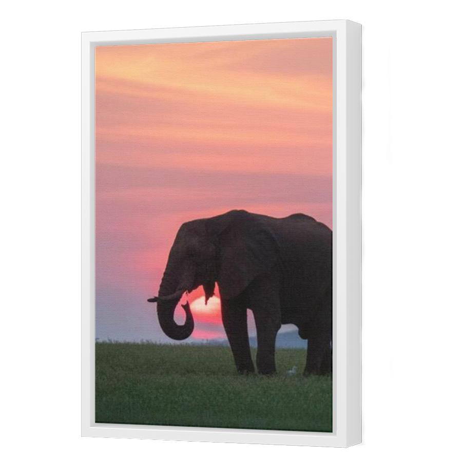 Thumbnail for Canvas - White Floating Frame