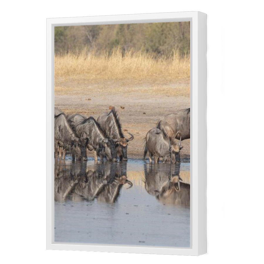 Thumbnail for Canvas - White Floating Frame