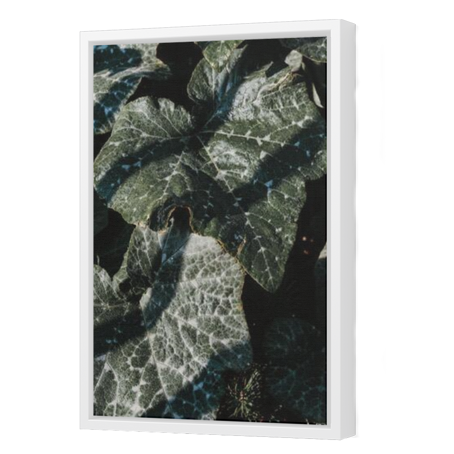 Thumbnail for Canvas - White Floating Frame