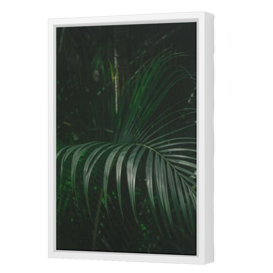 Thumbnail for Canvas - White Floating Frame