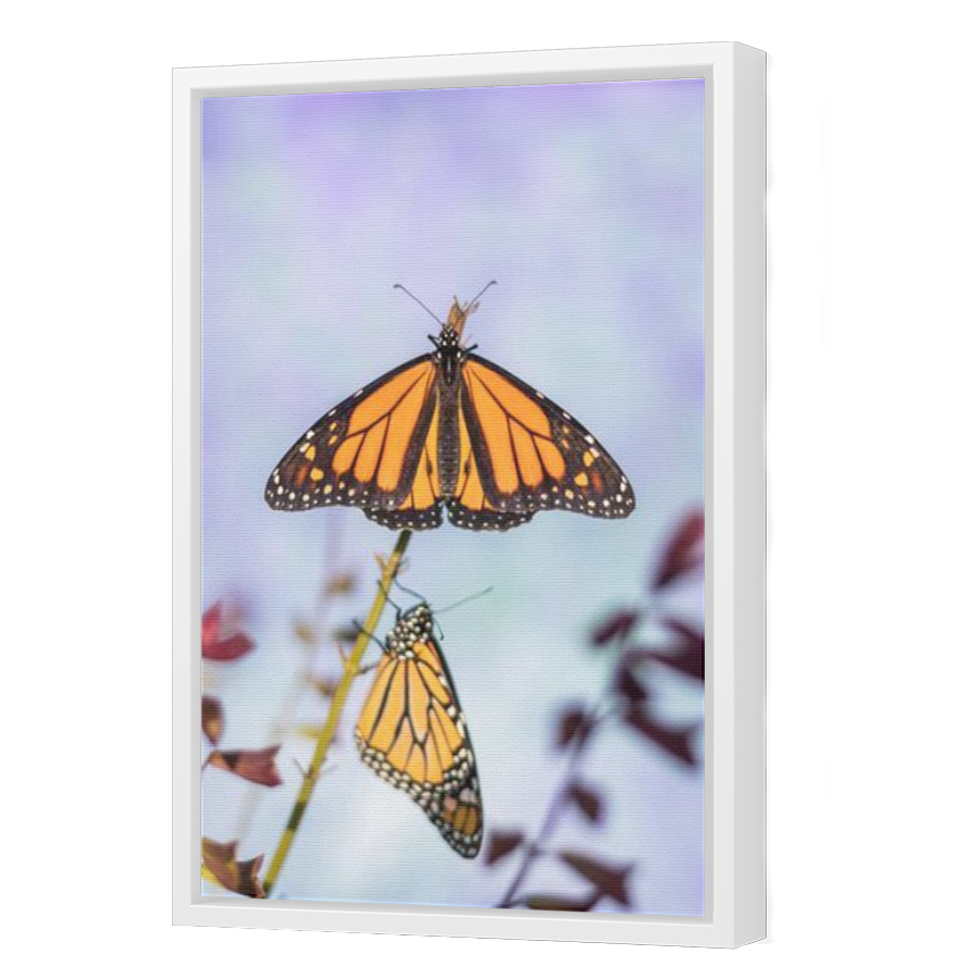 Thumbnail for Canvas - White Floating Frame