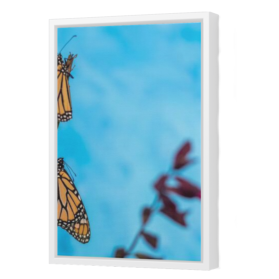 Thumbnail for Canvas - White Floating Frame