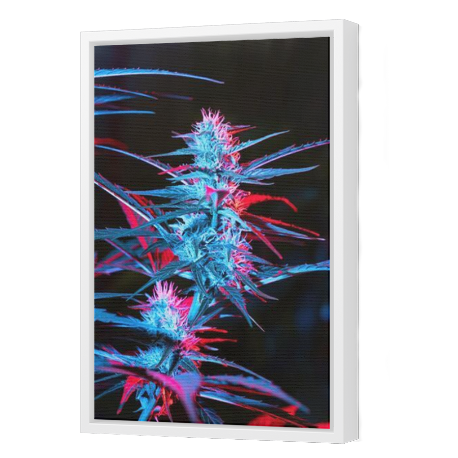 Thumbnail for Canvas - White Floating Frame