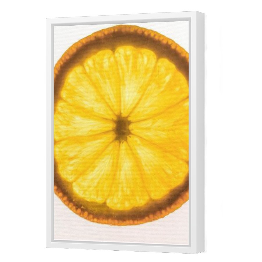 Thumbnail for Canvas - White Floating Frame
