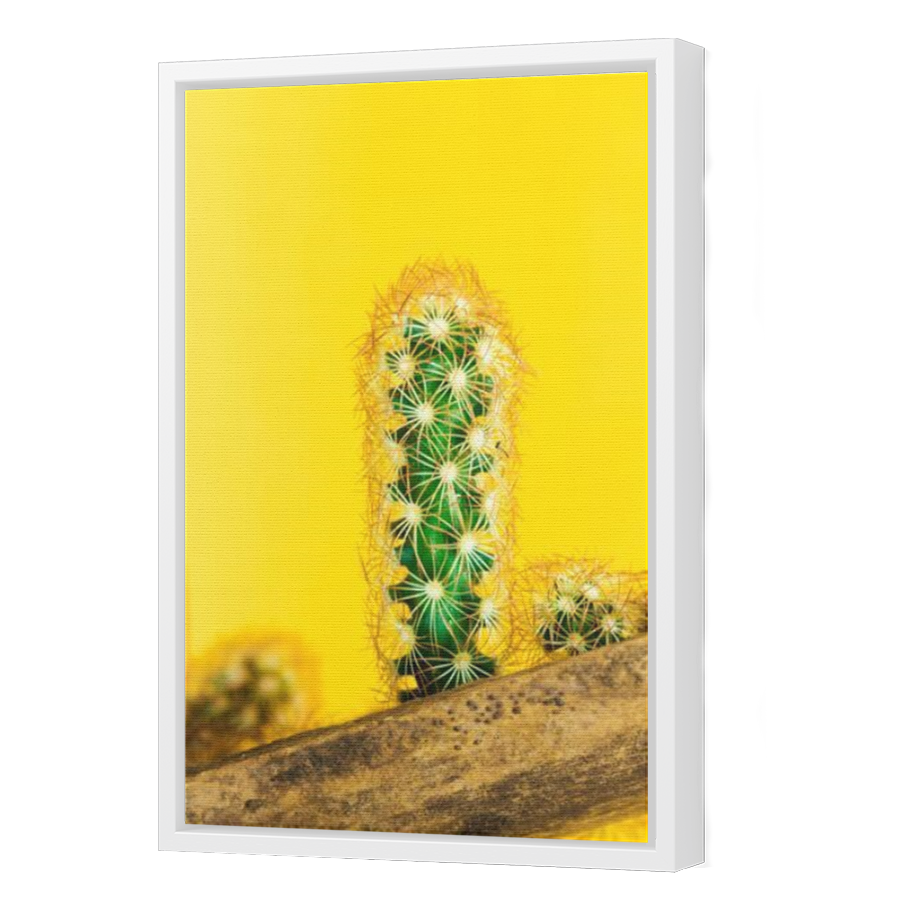 Thumbnail for Canvas - White Floating Frame