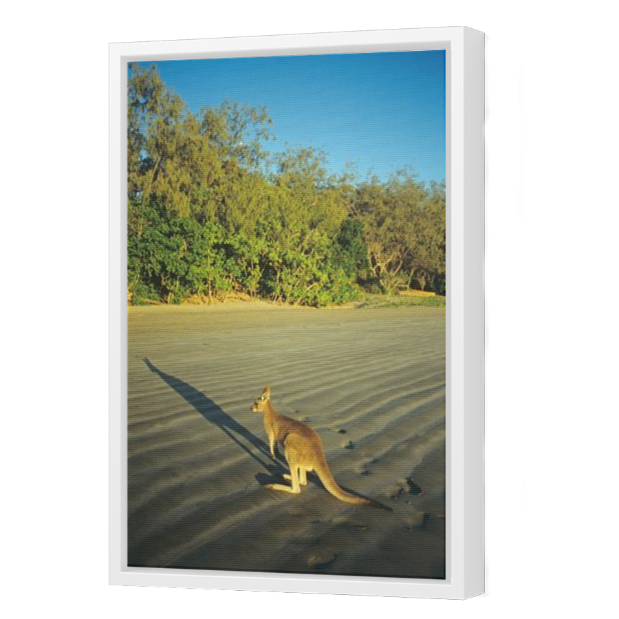 Thumbnail for Canvas - White Floating Frame