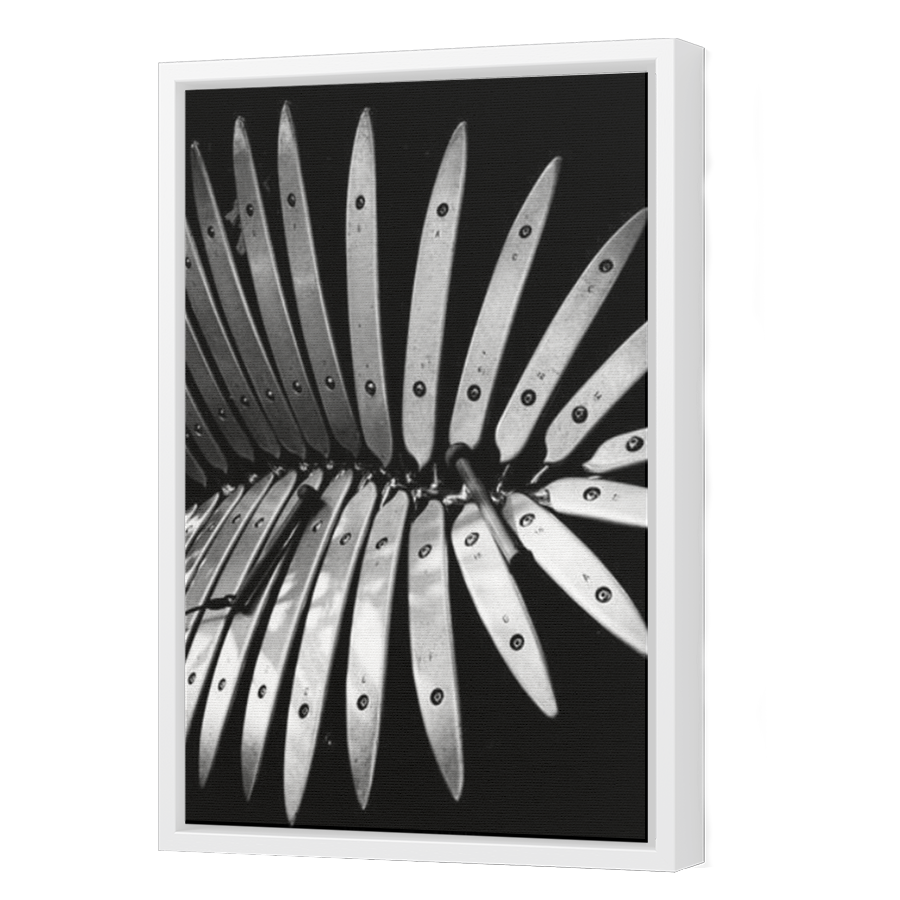 Thumbnail for Canvas - White Floating Frame