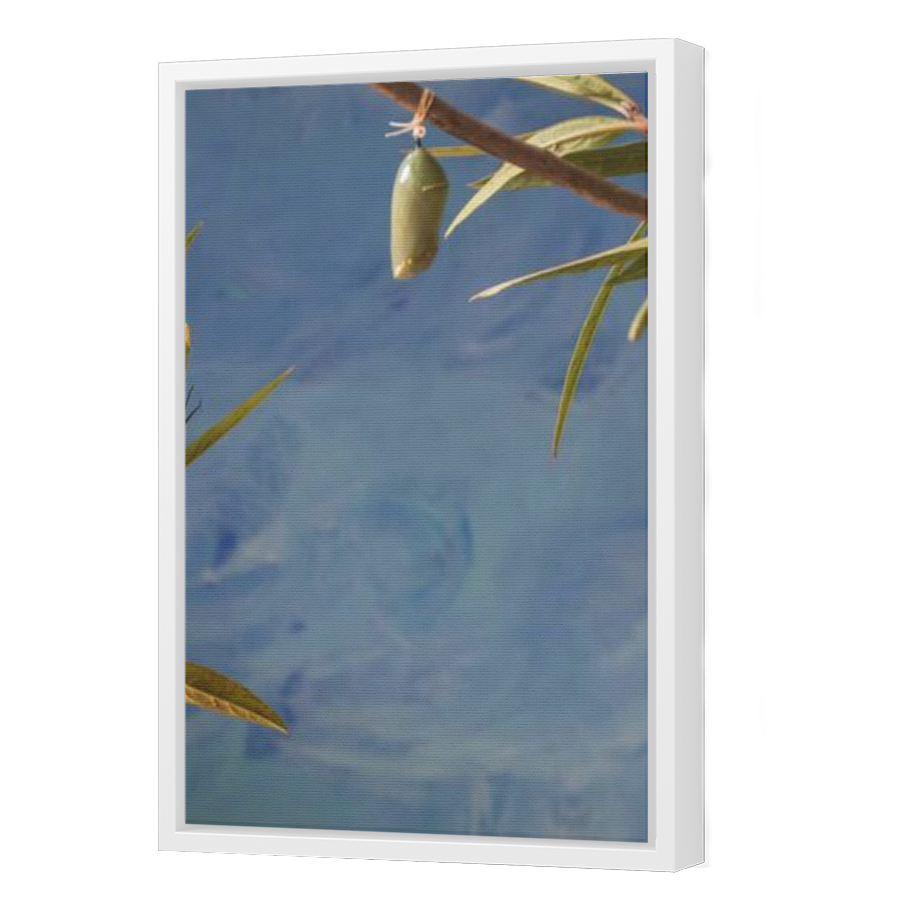 Thumbnail for Canvas - White Floating Frame