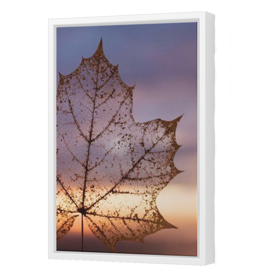 Thumbnail for Canvas - White Floating Frame