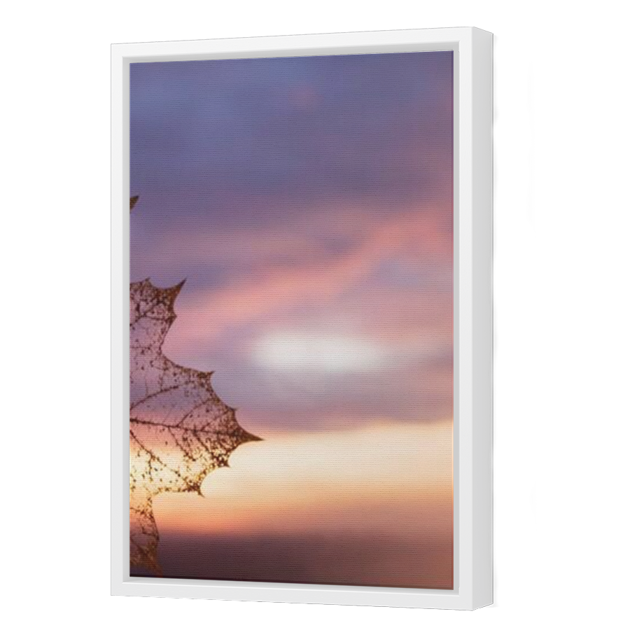 Thumbnail for Canvas - White Floating Frame