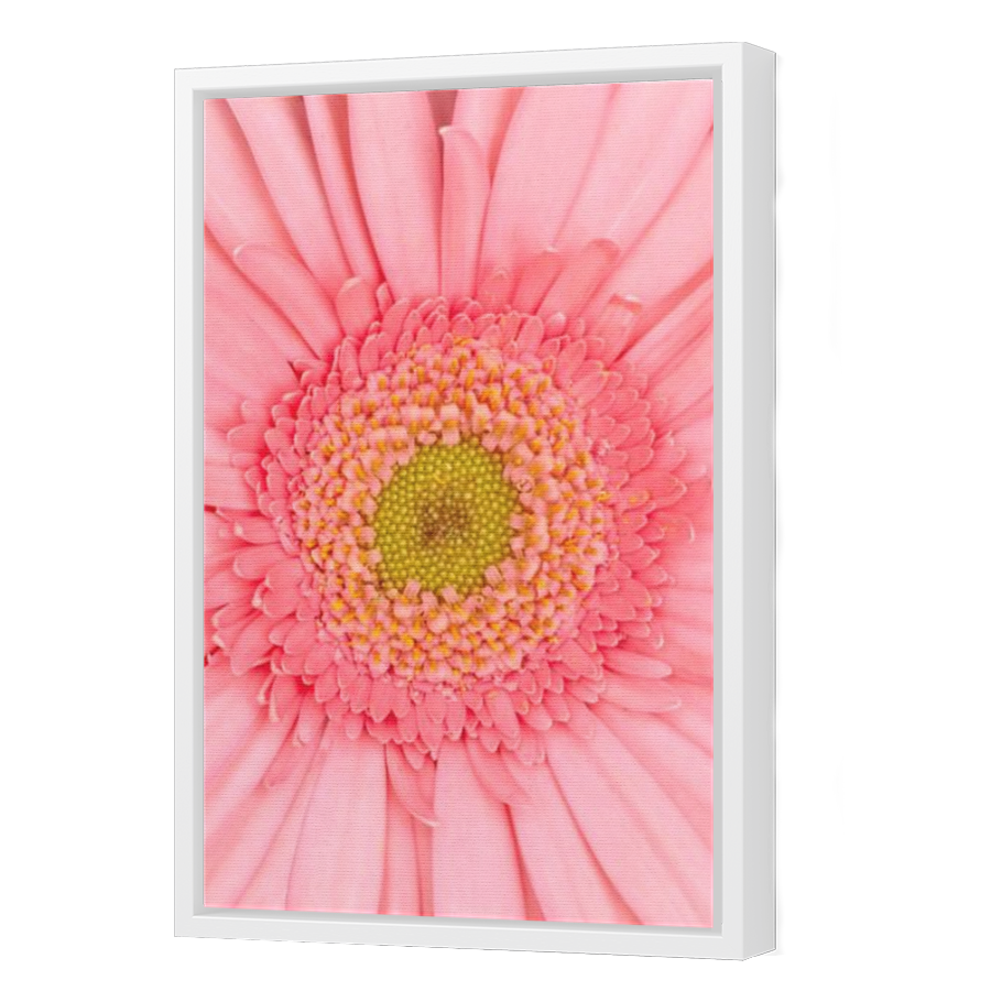 Thumbnail for Canvas - White Floating Frame