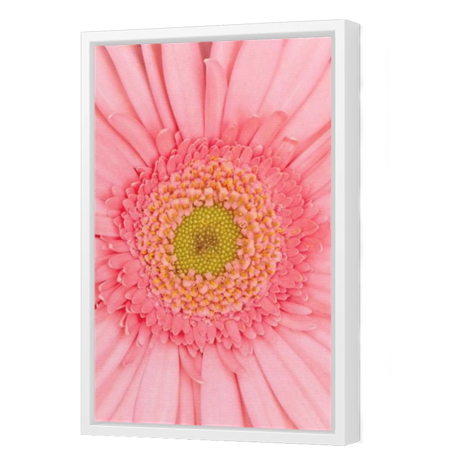 Thumbnail for Canvas - White Floating Frame