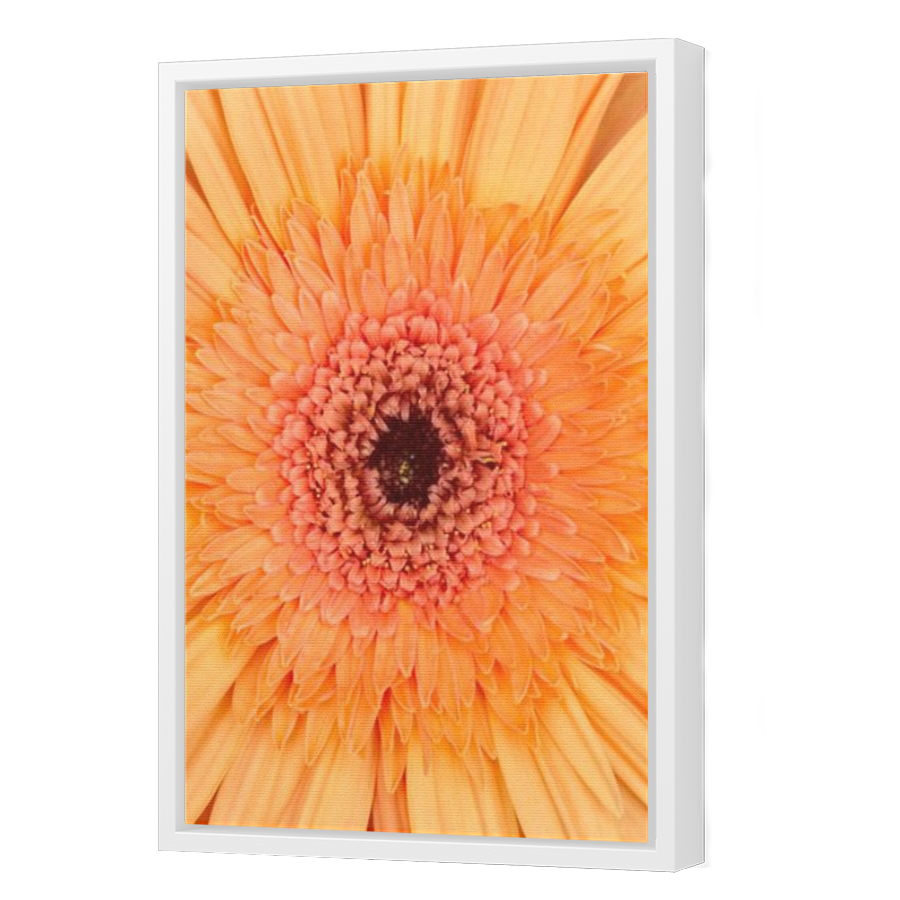 Thumbnail for Canvas - White Floating Frame