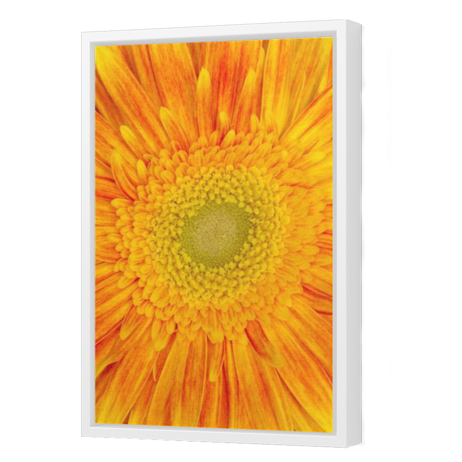 Thumbnail for Canvas - White Floating Frame