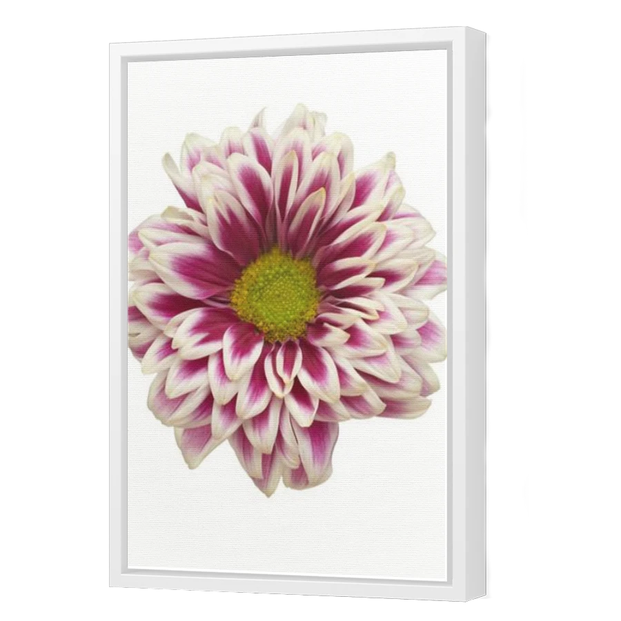 Thumbnail for Canvas - White Floating Frame