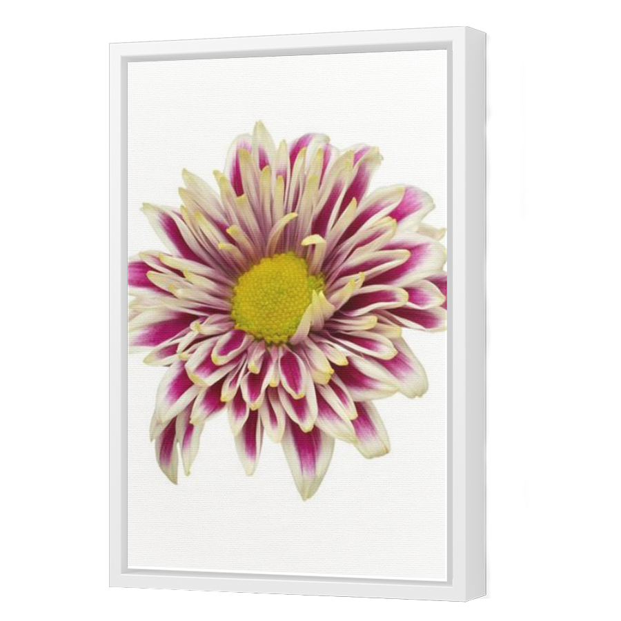 Thumbnail for Canvas - White Floating Frame