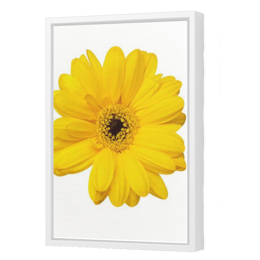 Thumbnail for Canvas - White Floating Frame