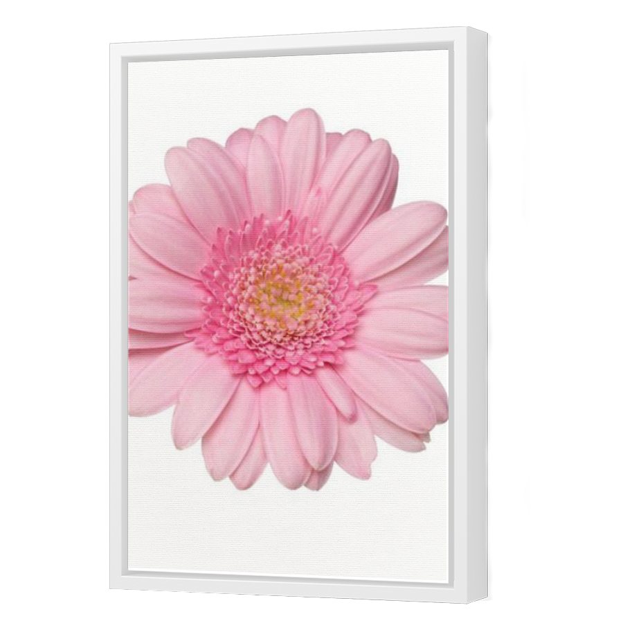 Thumbnail for Canvas - White Floating Frame