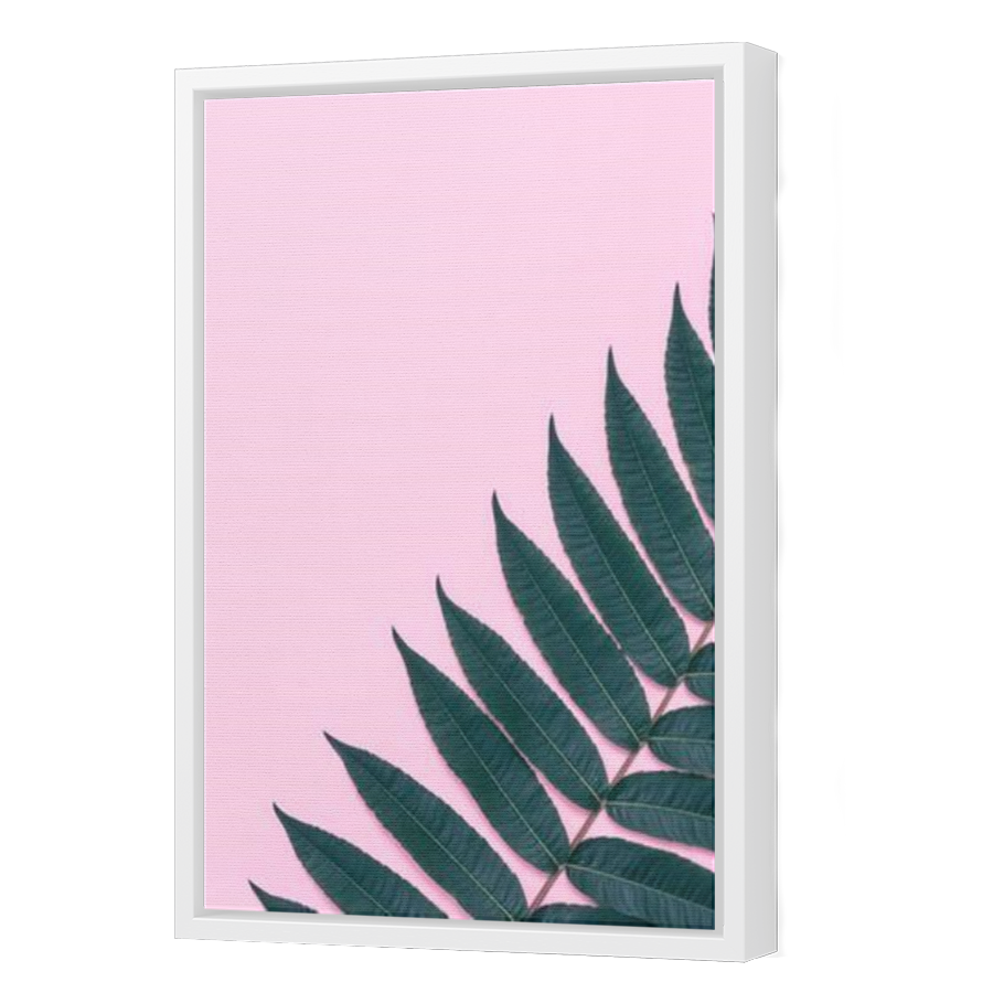 Thumbnail for Canvas - White Floating Frame