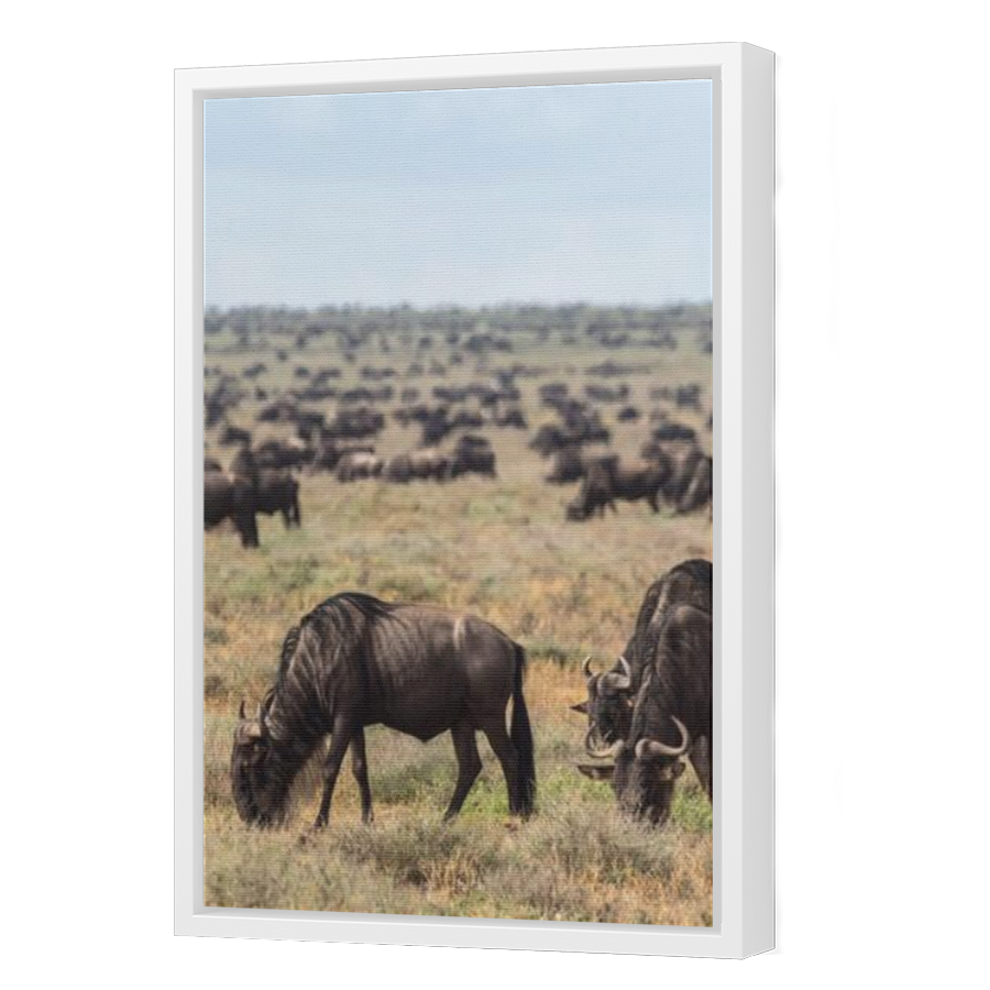Thumbnail for Canvas - White Floating Frame