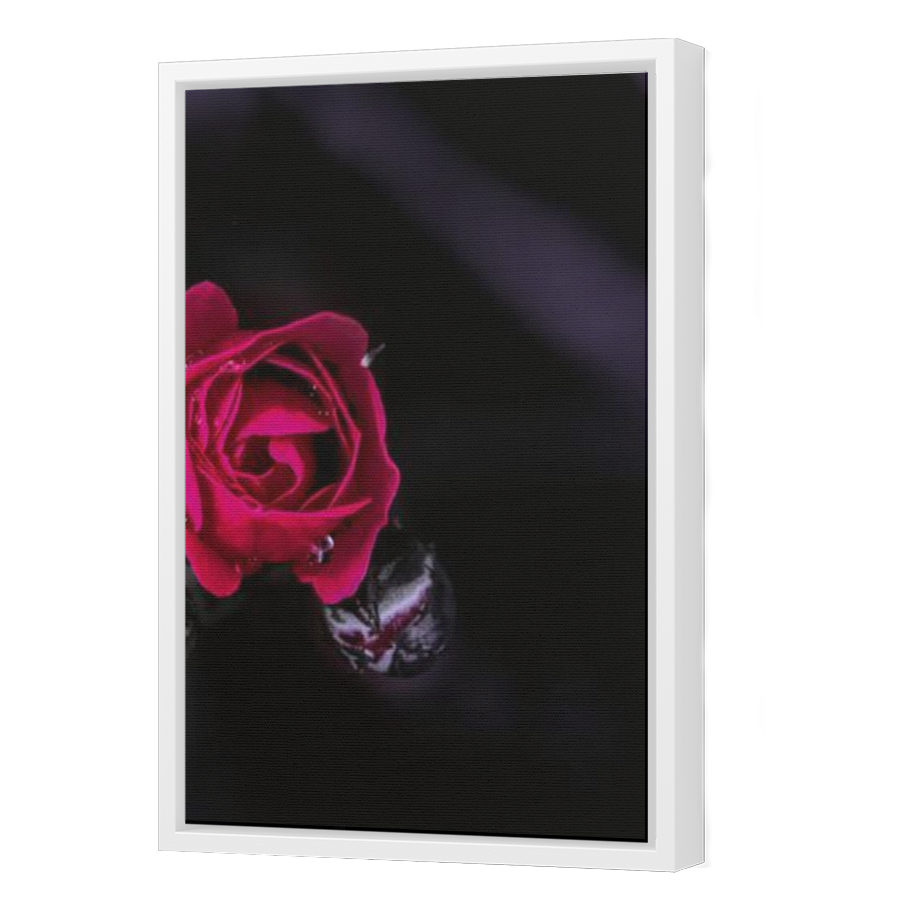 Thumbnail for Canvas - White Floating Frame