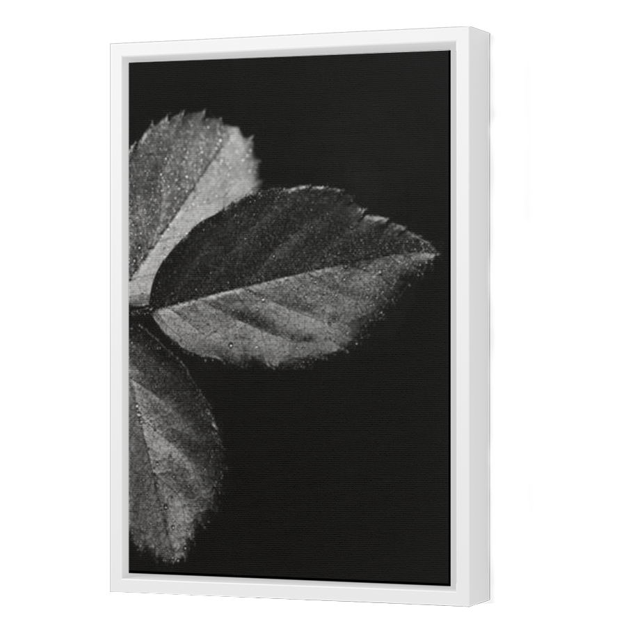 Thumbnail for Canvas - White Floating Frame
