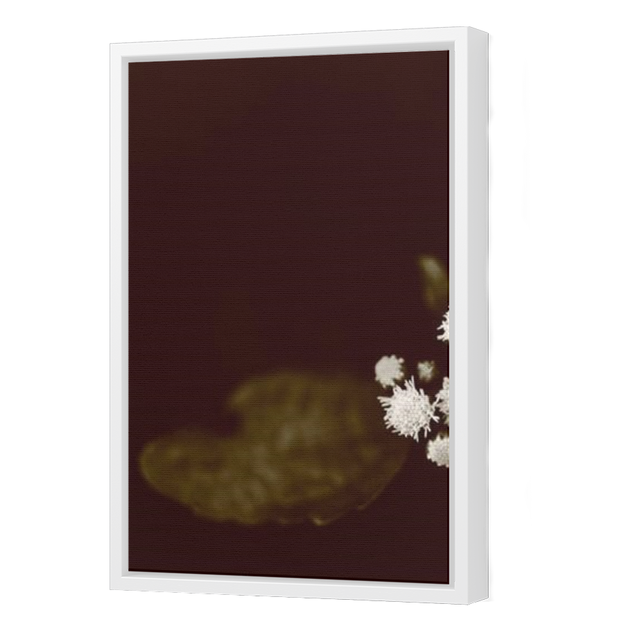 Thumbnail for Canvas - White Floating Frame