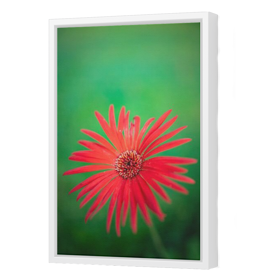 Thumbnail for Canvas - White Floating Frame