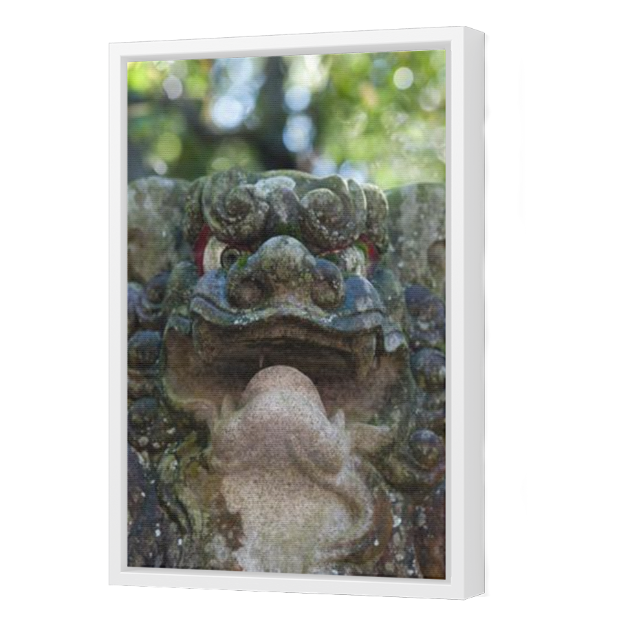 Thumbnail for Canvas - White Floating Frame